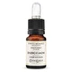 ERBOLINEA Kvepalų namams ekstraktas Erbolinea Zenzero E Limone, 10ml