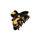 BALMAIN-HAIR-Pince-a-Cheveux-Small-Tortoise-Shell-—-Plauku-segtukas.webp